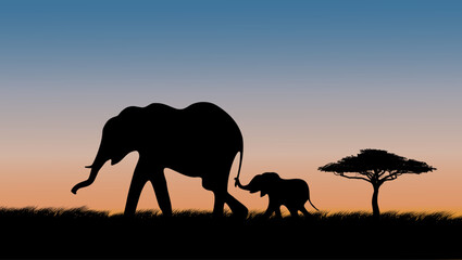 Naklejka premium Baby elephant holding on to mother's tailon safari at sunset, color vector illustration