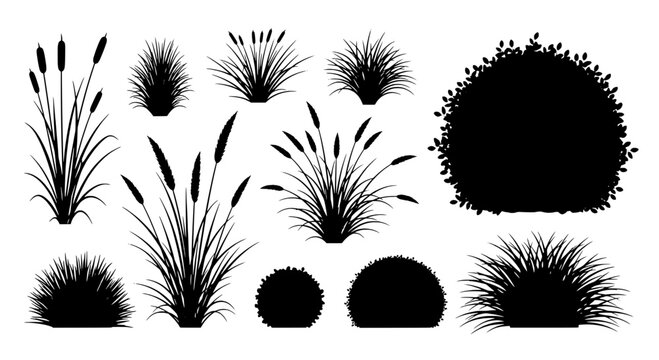Plants silhouette set with various shapes and textures featuring nature, botanical, garden with flora and vegetation elements for grass, bush