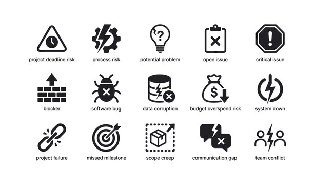 Project risk and issue icons displayed in labeled grid