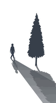 Silhouette of a person walking away from a tall pine tree casting a long shadow on a white background.