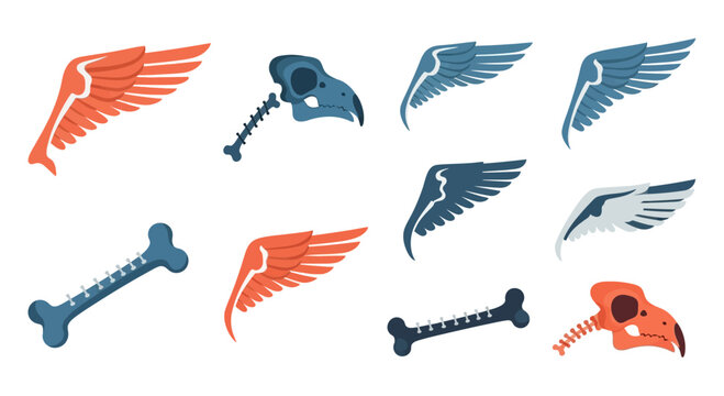 Bird Skeleton Parts: Wings, Skulls, and Bones - Fantasy Graphic Elements