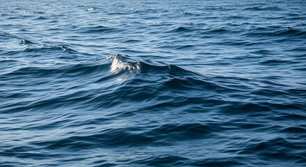Naklejka premium Ocean waves with sunlight on water surface