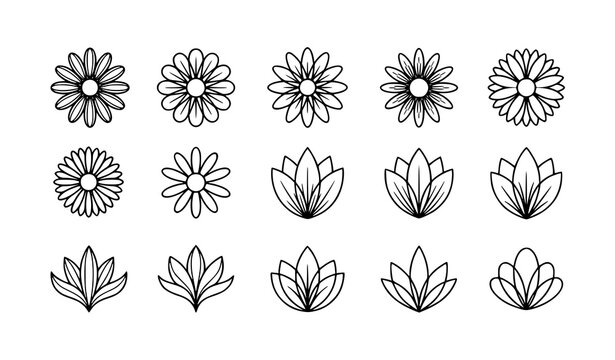 Floral collection hand drawn daisy and leaf line art vector set
