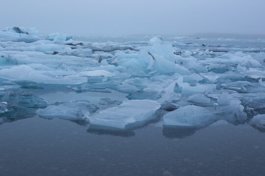 Blue icebergs floating in a misty glacial lagoon