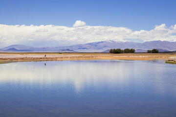 Laguna Carachi Pampa, Argentina © Stock Photos 2000