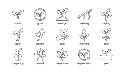 Fototapeta premium Plant sprout and growth icons arranged on white background