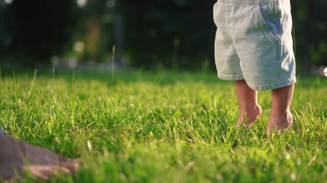 baby first steps. happy family a kid dream concept. baby walks on the grass learns to walk in the city park close-up. baby first steps in nature. dad teaches son lifestyle to walk
