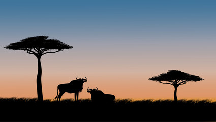 Gnu antelope on safari at sunset, color vector illustration © OMIA