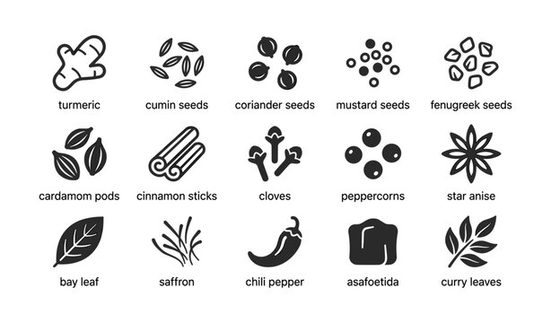 Spice icons illustrating common spices and herbs on white background