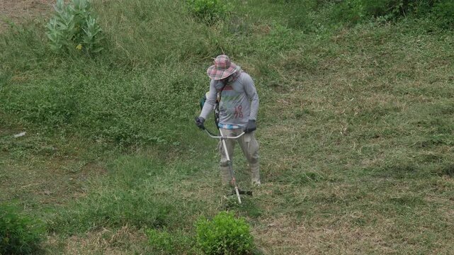 outdoor workers wearing hats trimming overgrown grass on a grassy slope using handheld brush cutters, aerial view