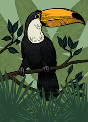 Fototapeta premium Toucan bird perched on branch in lush tropical jungle foliage. Exotic wildlife vector illustration in vintage hand drawn style.