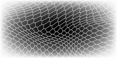 Fishing or soccer net. Repeated hexagon pattern. Black wired mesh texture isolated on white background.ilustrasion modern. © Haikal