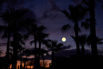 Fototapeta premium Full Moon on a twilight sky with landscape silhouettes.