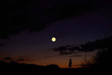 Fototapeta premium Woman observing stars, planets, Moon and other celestial objects.
