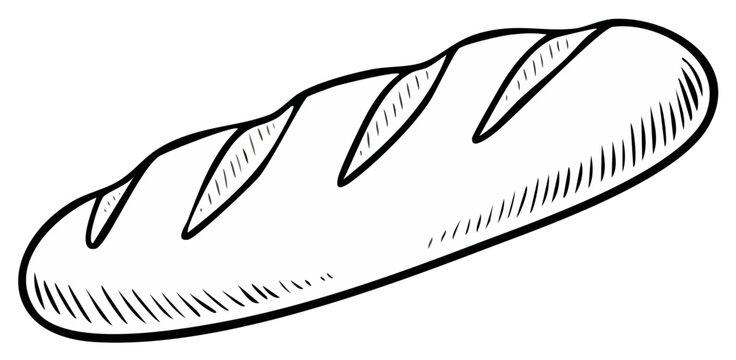 Sketch illustration of a crusty baguette loaf, a staple bread, showcasing its elongated shape and score marks in a simple drawing style