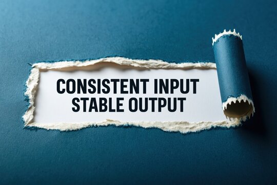Consistent Input Stable Output a Principle of Reliability