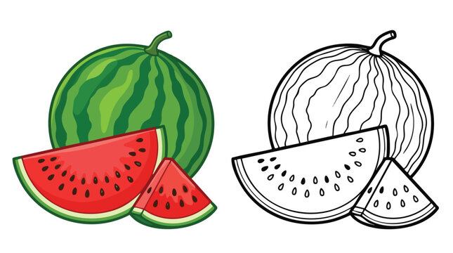 Fresh Ripe Watermelon Fruit with Slices Healthy Summer Snack Sweet Juicy Refreshment.