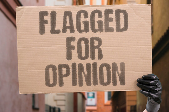 "Flagged For Opinion" Online opinion posts are flagged and removed by automated moderation. ONLINE. POSTS. FLAGGED. AUTOMATED. MODERATION.