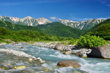 新緑に映える初夏の白馬村 © sada