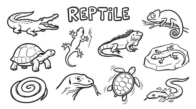 Set of various reptile species hand drawn doodle icons including crocodile, lizard, and turtle.