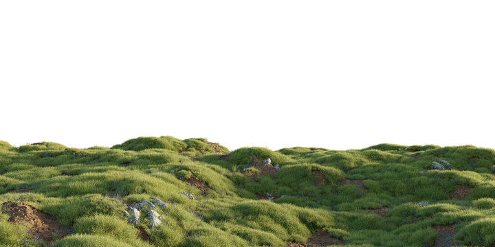 Rolling grassy hill terrain isolated on transparent background for landscape and environment design asset. 3D rendering.