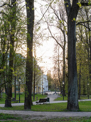 Naklejka premium Spring view of Toome Hill park in Tartu, Estonia, with old trees, benches, walking paths and historic buildings in soft evening light.