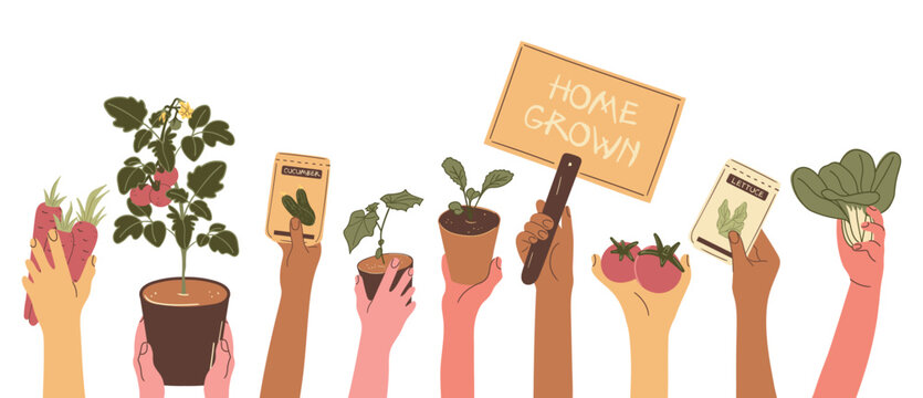 Homegrown Vegetable Gardening Vector Clip Set
