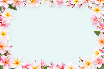 Obraz premium Tropical plumeria flower frame with pastel background