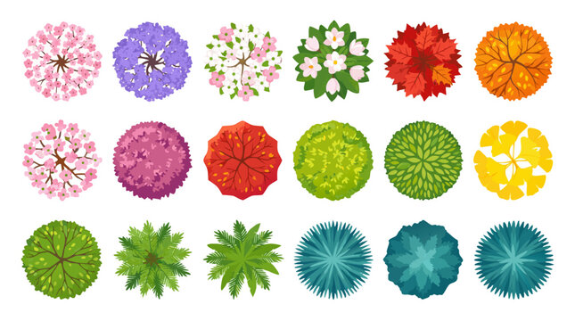 Colorful Tree Top View Vector Set 20 Flat Cartoon Trees and Shrubs for Landscape Design Plans