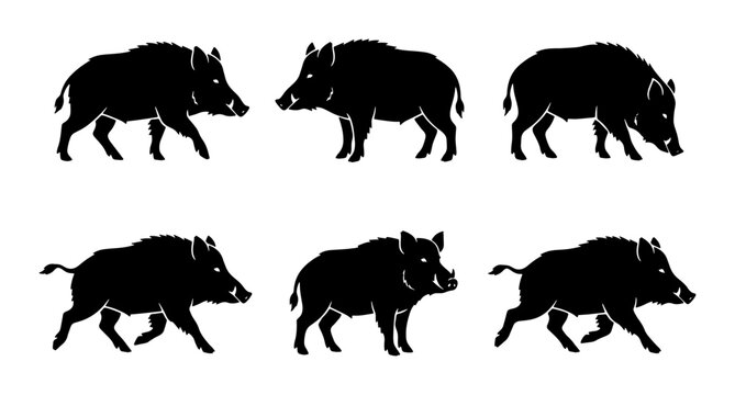 Wild Boar Silhouette Set, Swine Animal Vector Graphics, Forest Wildlife Illustration Collection, Hunting Mammal Iconography