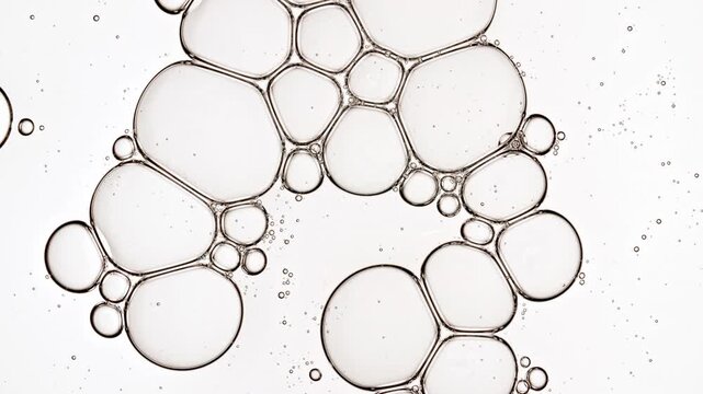 Cells Under a Microscope are Connected Into a Common Transparent Bubble Cluster With Molecule. Macro Shot of Molecule Science and Medicine. DNA. Medical Drug Manufacturing. High quality 4k footage