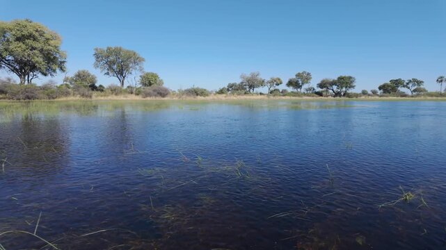 4k 30fps footage floating across the sapphire blue waters of the Okavango Delta in Botswana, revealing pristine African wetlands, distant vegetation and untouched safari wilderness.