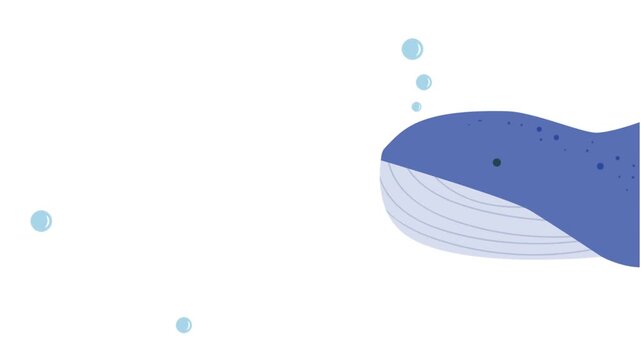 Animated blue whale entering from right edge, sliding leftward and settling center to show layout