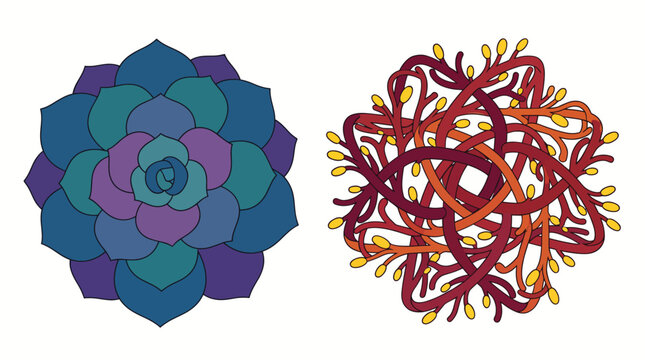This captivating image features two intricate geometric patterns, one floral and the other abstract, emphasizing the beauty of symmetry and color harmonies in design.