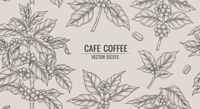 A detailed illustration of coffee plant branches with leaves and coffee beans on a beige background