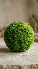Obraz premium Moss globe sculpture on small block by window. World Environment Day eco concept.
