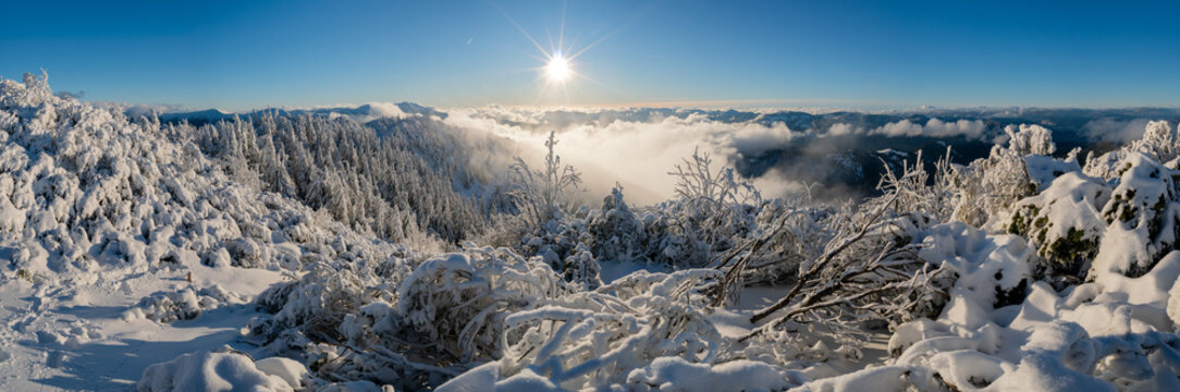 View of Salatin mountain peak with snow-covered trees and a sea of clouds under a bright winter sun in Liptovska Stiavnica, Zilinsky kraj, Slovakia.