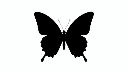 Butterfly silhouette, black insect icon, winged creature, minimalist design element © AKL