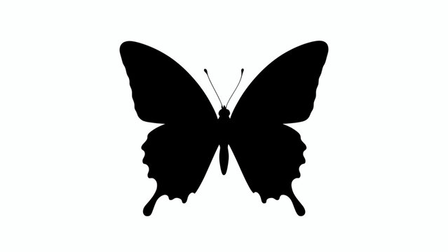 Butterfly silhouette, black insect icon, winged creature, minimalist design element