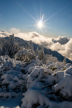 View of Salatin mountain with snow-covered pine trees and a bright sun starburst over a sea of clouds in Liptovska Stiavnica, Zilinsky kraj, Slovakia.