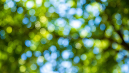 Green foliage and blue sky bokeh © Element 3D