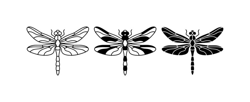 Dragonfly Vector Icons, Insect Silhouettes, Delicate Winged Creatures, Nature Graphics, Black and White Insect Art