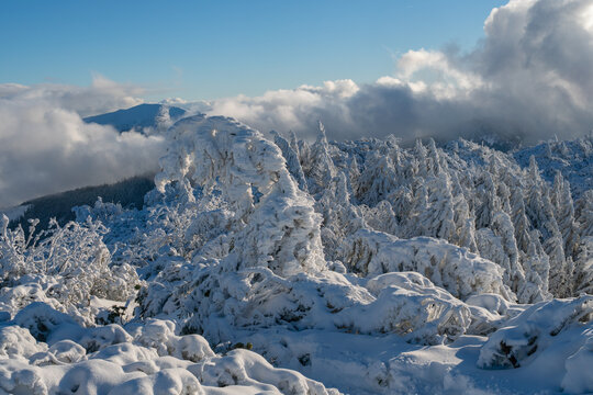 View of Salatin mountain peak with snow-covered pine trees under a cloudy blue sky in Liptovska Stiavnica, Zilinsky kraj, Slovakia.
