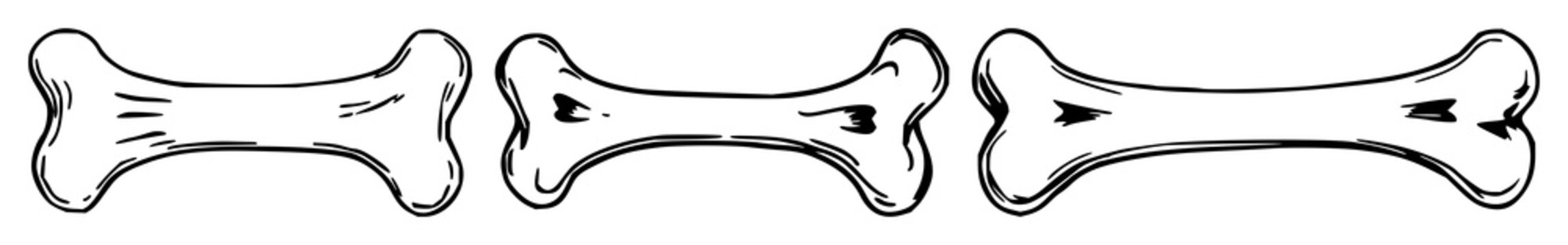 Bone set with black line art illustration on white background featuring skeleton, anatomy, medical illustration with line art and white background