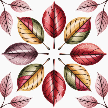 Colorful leaves arranged in a circular pattern on white background