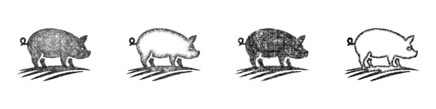 Sketch pig logo design set
