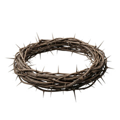 Fototapeta premium Intricately woven crown of thorns with gnarled woody branches and sharp needles on a minimalist transparent studio background. Solemn religious concept