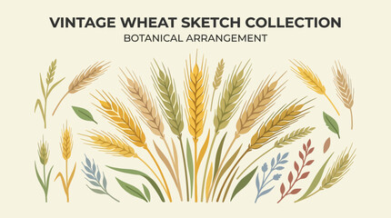Vintage wheat and botanical sketch collection. © Abhinaya Project