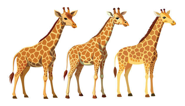 giraffe set clipart vector illustration