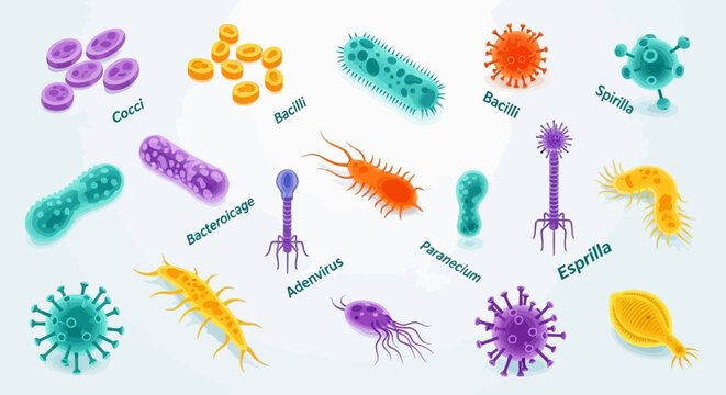 Illustration of Different Types of Microbes: Bacteria, Viruses, and Other Microscopic Organisms